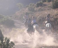 Bienvenue aux écuries de terrugasse ! :)